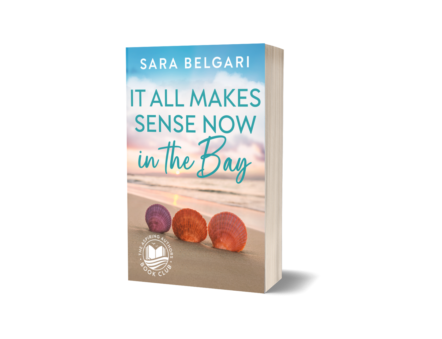 It all Makes Sense Now in the Bay (The Aspiring Authors Book Club #4) (PAPERBACK)