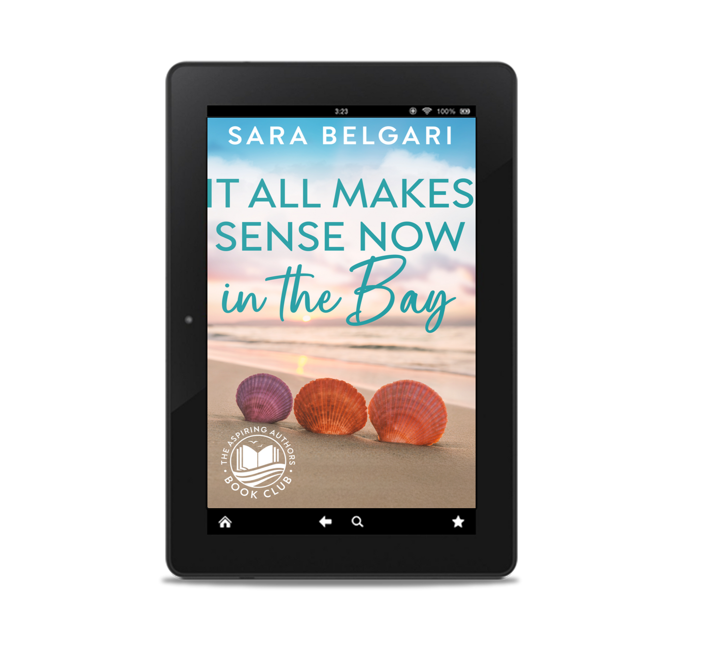It all Makes Sense Now in the Bay (The Aspiring Authors Book Club #4) (EBOOK)