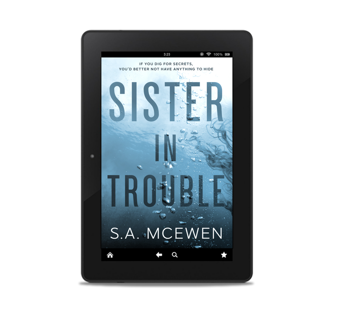 Sister in Trouble (EBOOK)